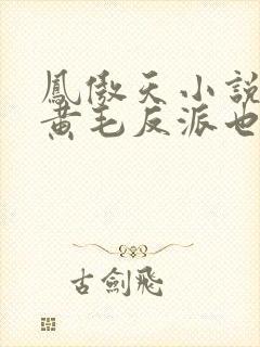 凤傲天小说里的黄毛反派也想要幸福txt