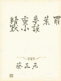 精灵梦叶罗丽王默小说