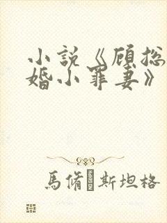 小说《顾总的隐婚小罪妻》封面