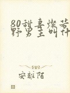 80甜妻灿若明野男主叫什么