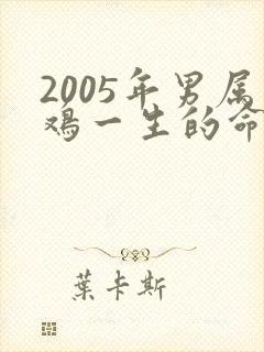 2005年男属鸡一生的命运怎样