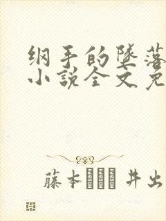 纲手的坠落浮殇小说全文免费阅读封面