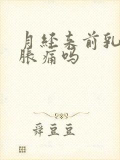 月经来前乳房会胀痛吗