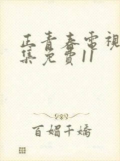 正青春电视剧全集免费11