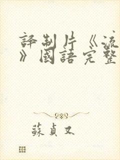 译制片《流浪者》国语完整版封面