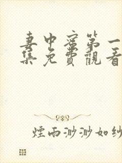 妻中蜜第一季全集免费观看