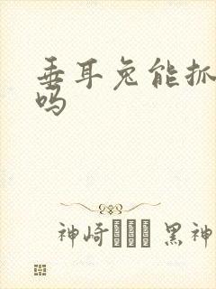 垂耳兔能抓耳朵吗