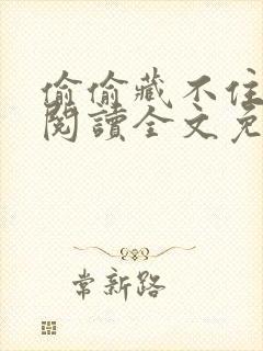 偷偷藏不住在线阅读全文免费