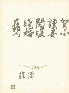 在线阅读贺少的闪婚暖妻小说