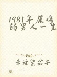 1981年属鸡的男人一生的命运封面