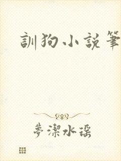 训狗小说笔趣阁