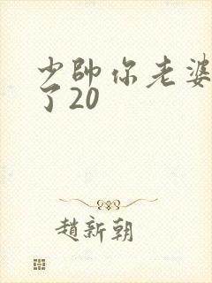 少帅你老婆又跑了20封面