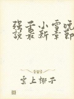 强子小雪晚晴小说最新章节阅读