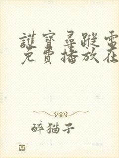 护宝寻踪电视剧免费播放在线