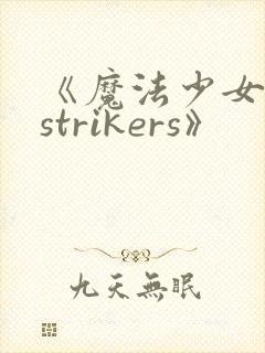 《魔法少女奈叶strikers》封面