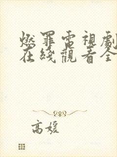 燃罪电视剧免费在线观看全集