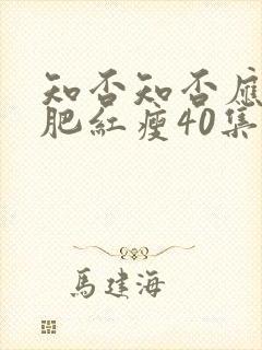 知否知否应是绿肥红瘦40集