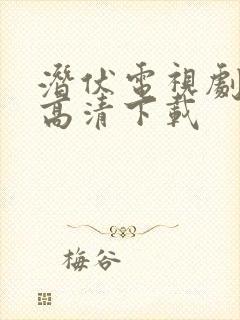 潜伏电视剧4k高清下载