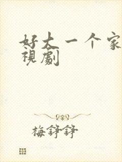 好大一个家 电视剧