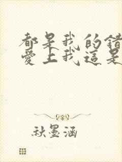 都是我的错让你爱上我这是什么歌