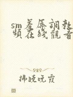 sm羞辱调教视频在线观看