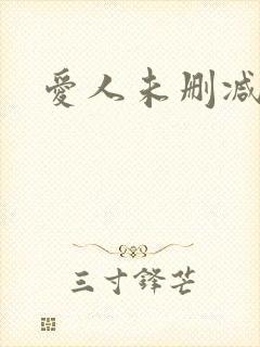 爱人未删减版封面