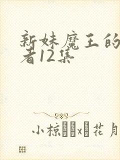 新妹魔王的契约者12集
