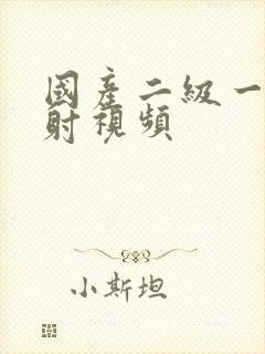 国产二级一片内射视频