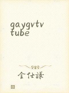 gaygvtvtube