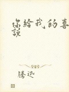 你给我的喜欢小说