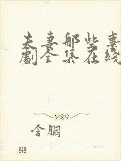 夫妻那些事电视剧全集在线观看