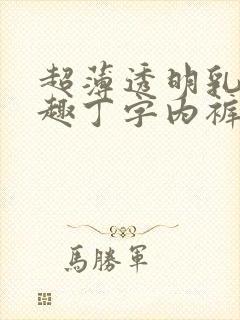 超薄透明乳罩情趣丁字内裤文