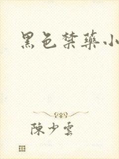 黑色禁药小说