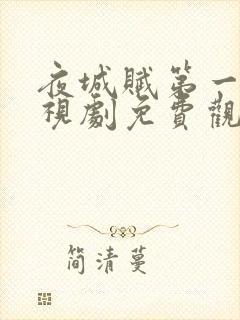 夜城赋第一季电视剧免费观看