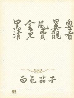 黑金风暴粤语高清免费观看封面