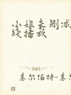 小姐未删减版在线播放