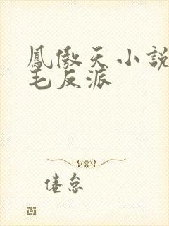 凤傲天小说里黄毛反派