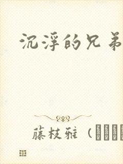 沉浮的兄弟封面