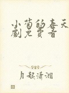 小菊的春天电视剧免费看