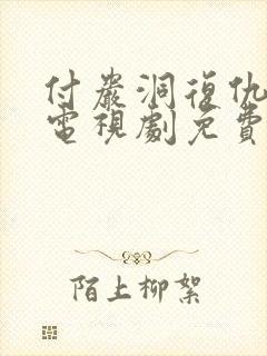 付岩洞复仇者们电视剧免费观看