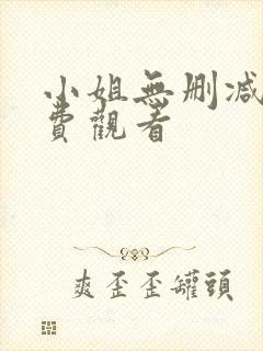 小姐无删减版免费观看