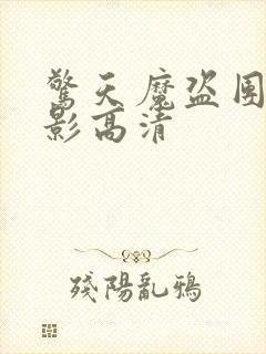 惊天魔盗团1电影高清