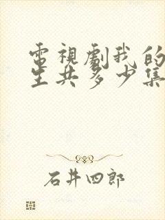 电视剧我的后半生共多少集