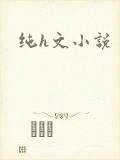 纯h文小说