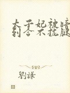 太子妃被暗卫C到合不拢腿