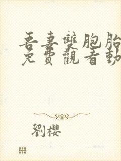 吾妻双胞胎全集免费观看动漫