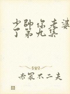 少帅你老婆又跑了第九集