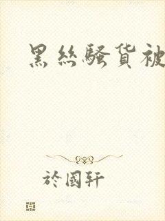 黑丝骚货被爆操