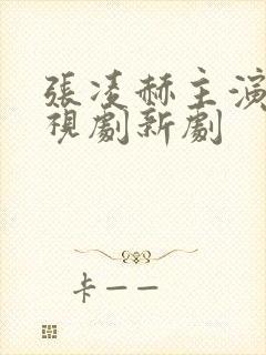 张凌赫主演的电视剧新剧