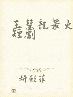 王慧龙最火十部短剧